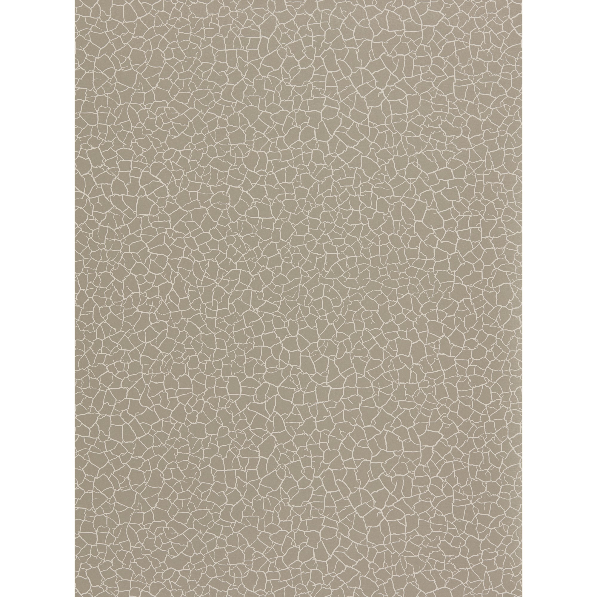 Cracked Earth Wallpaper 312528 By Zoffany In Stone Beige